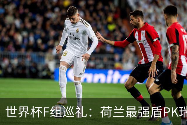 世界杯F组巡礼：荷兰最强盾PK瑞典犀利刀 日本短板明显