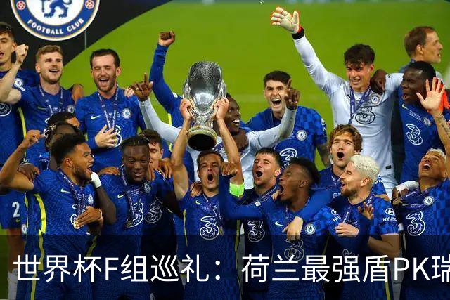 世界杯F组巡礼：荷兰最强盾PK瑞典犀利刀 日本短板明显